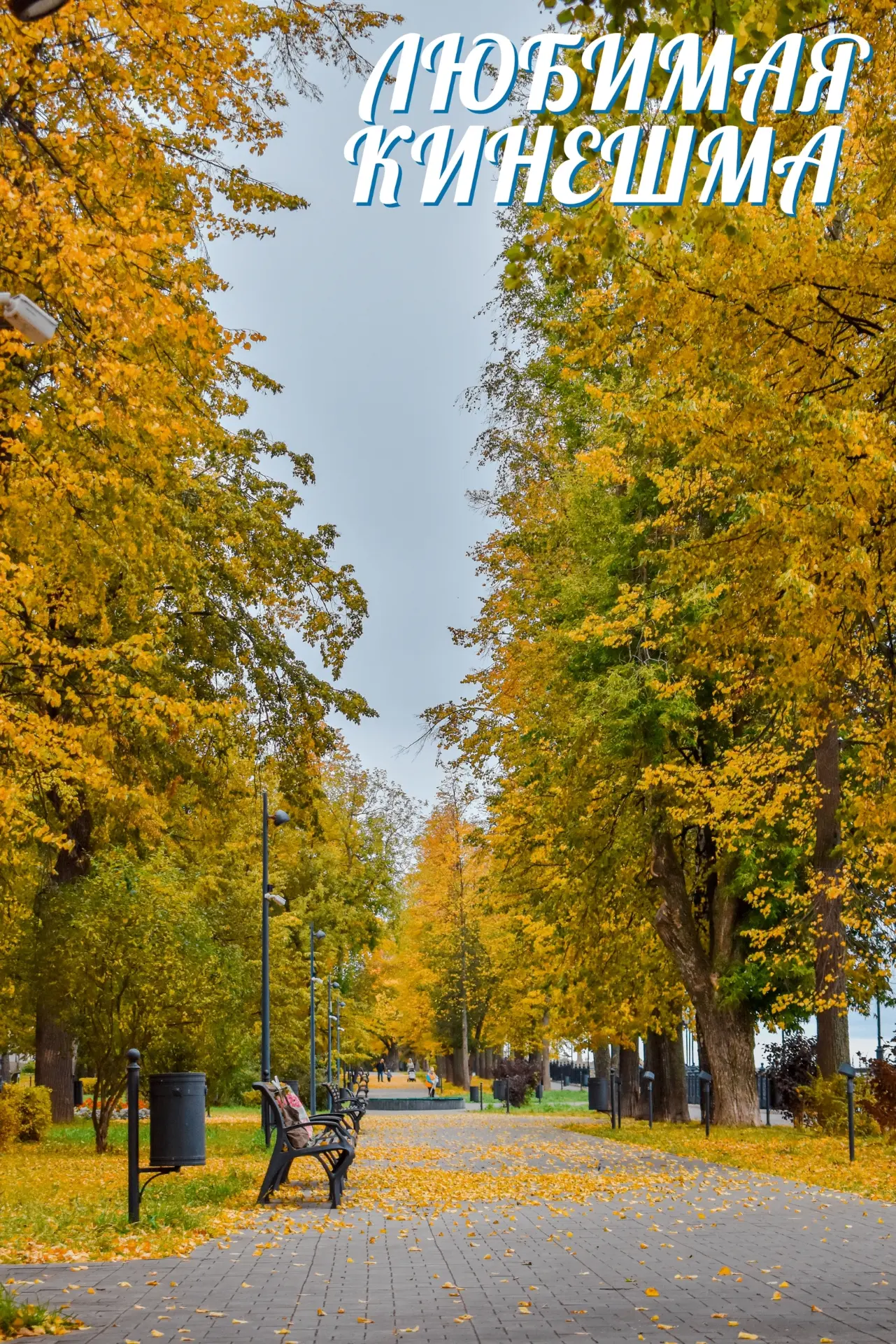 Доброе утро, Любимая Кинешма ❤