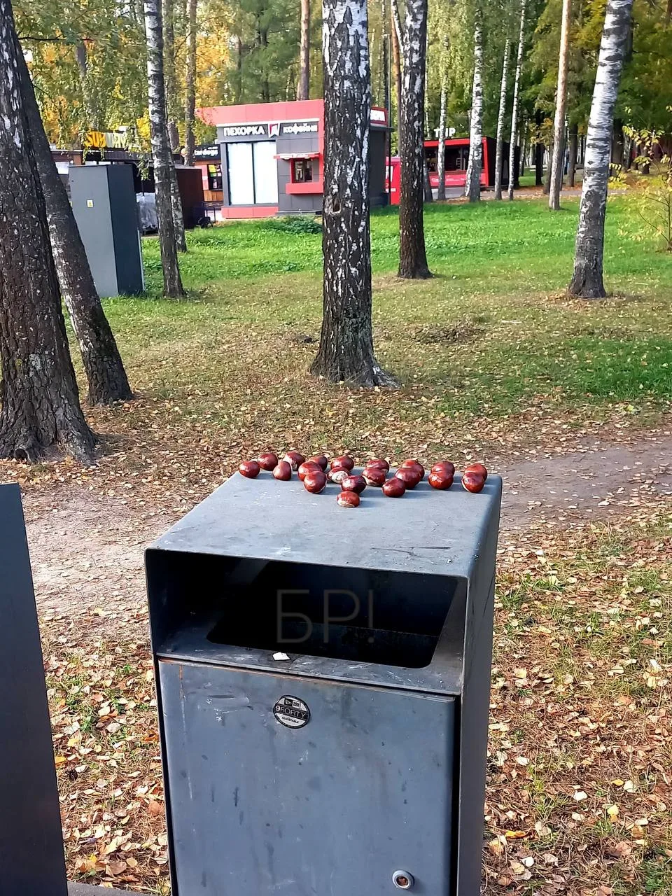 Осень в парке 😍😍😍