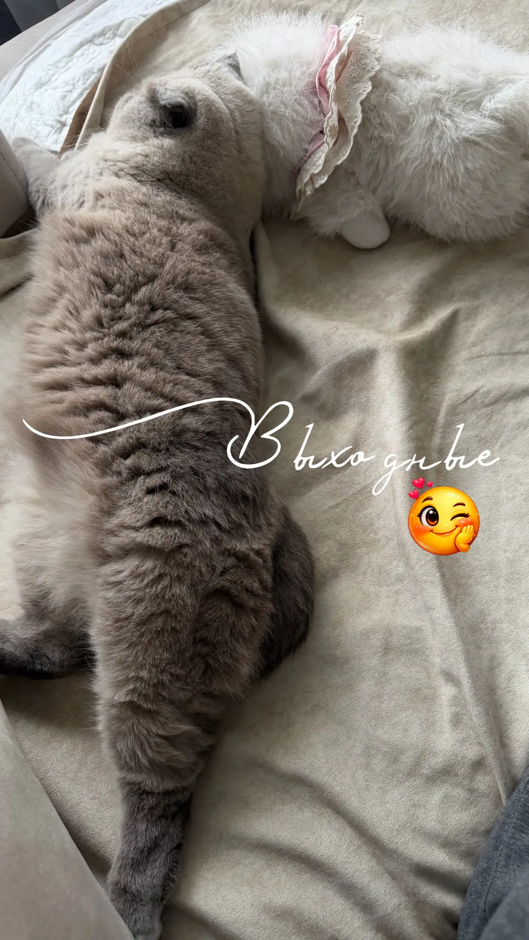 Всем прекрасных выходных 😍