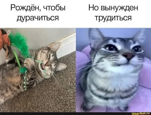 Доброе утро!