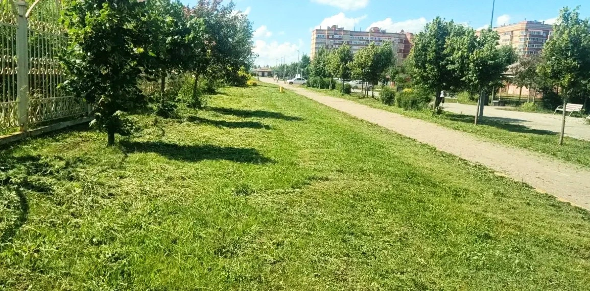 🌿АО «ГУАД» сообщает: сегодня, 18 июня, специалисты предприятия приступают к механизированной и ручн