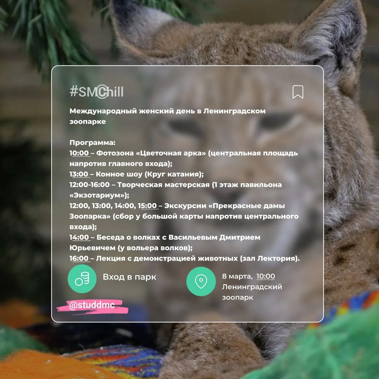 Весна наконец-то пришла — и это не просто дата в календаре! ☁Воздух пахнет теплом, солнце задерживае