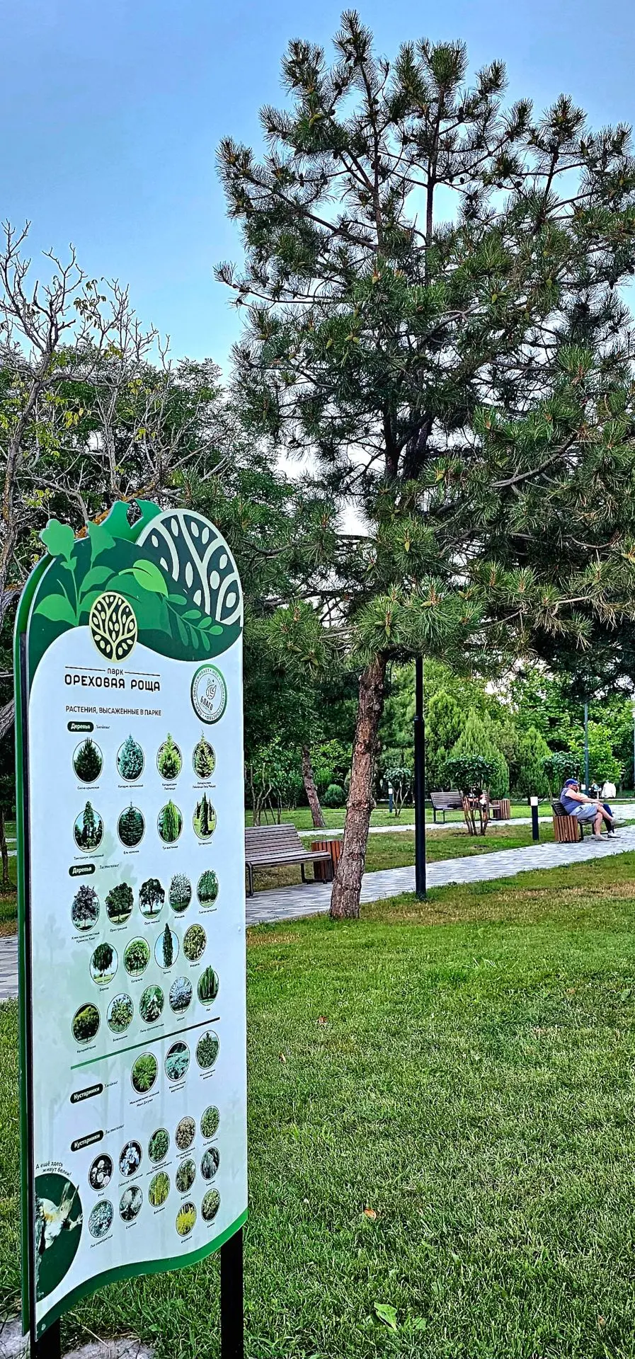 Фотовпечатления из Анапы ✨️
Парк «Ореховая роща» 🌿 -

зелёный оазис среди каменных джунглей. На шес