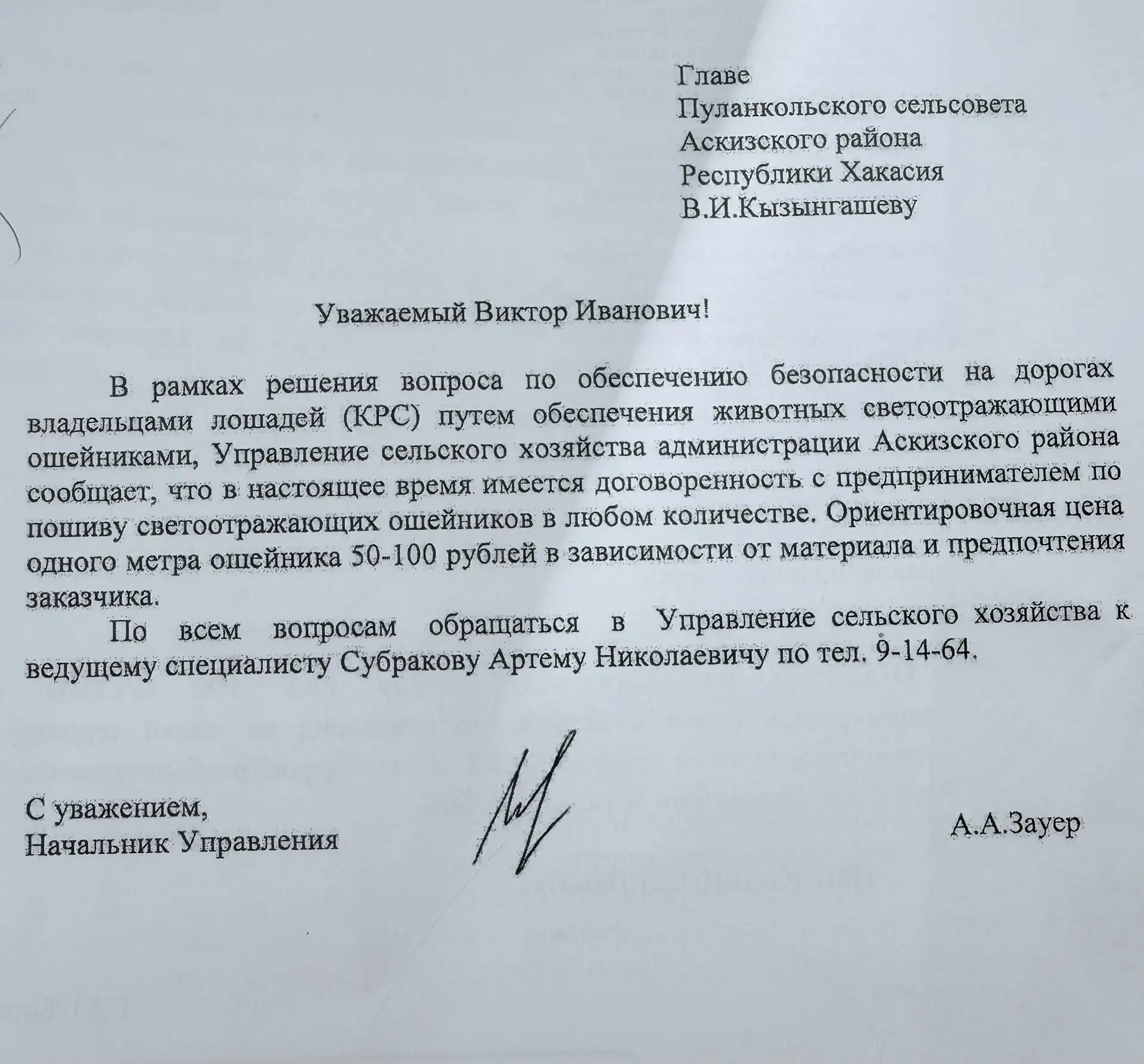 Светоотражающие ошейники для лошадей!
