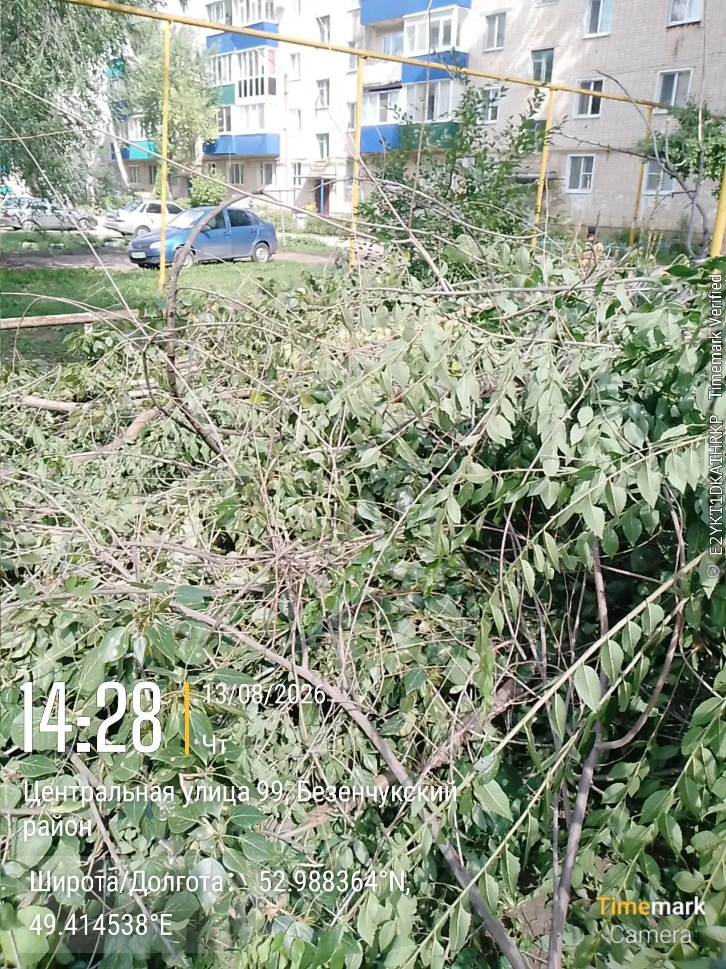 Работы, выполненные МБУ «Благоустройство»