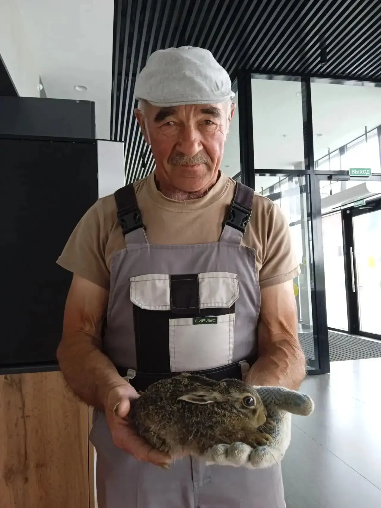 🐰❤️Начнем утро с милоты. Зайчата поселились на мемориале «Курская битва» в Понырях