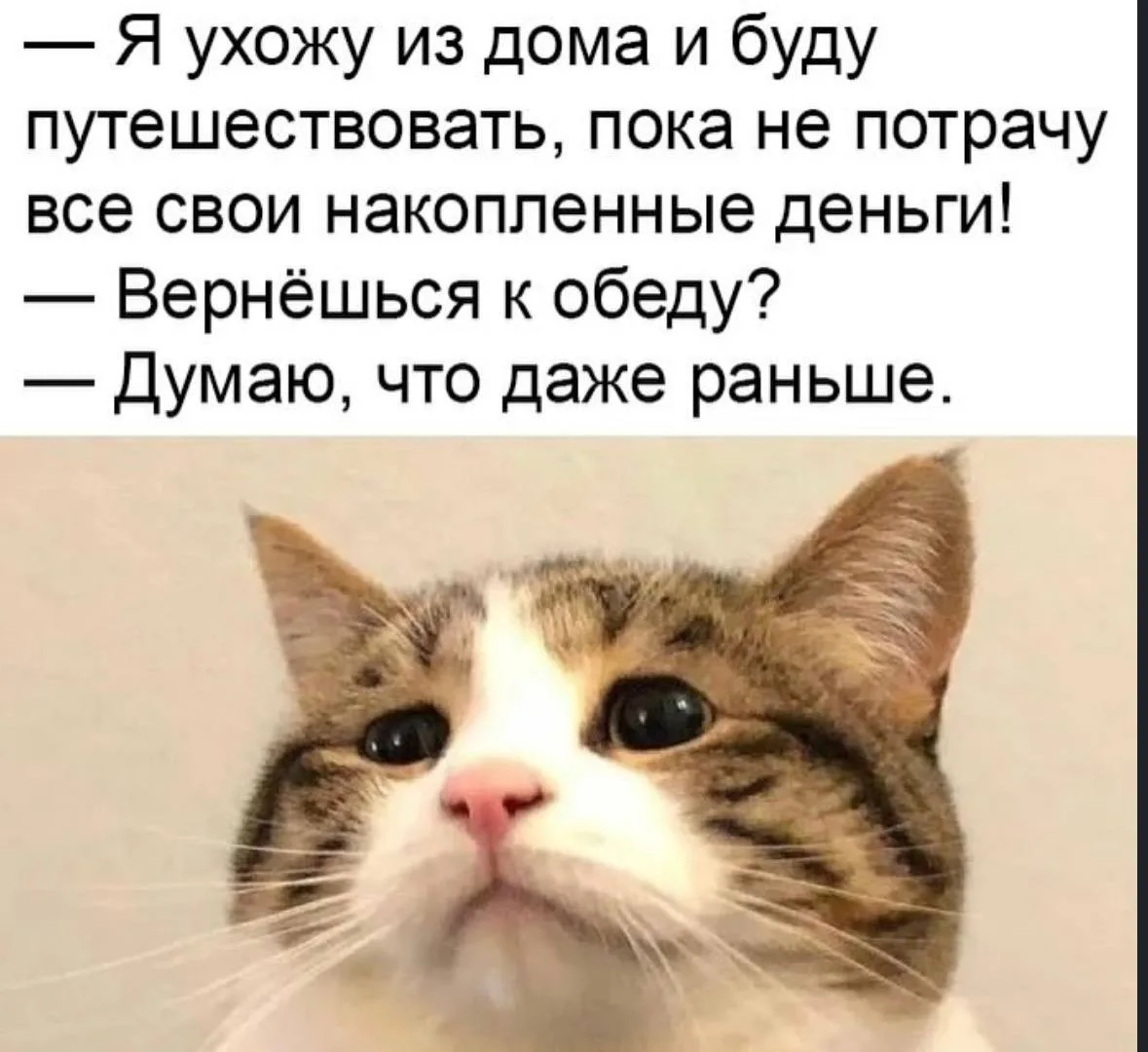 Можно даже дверь не закрывать😂