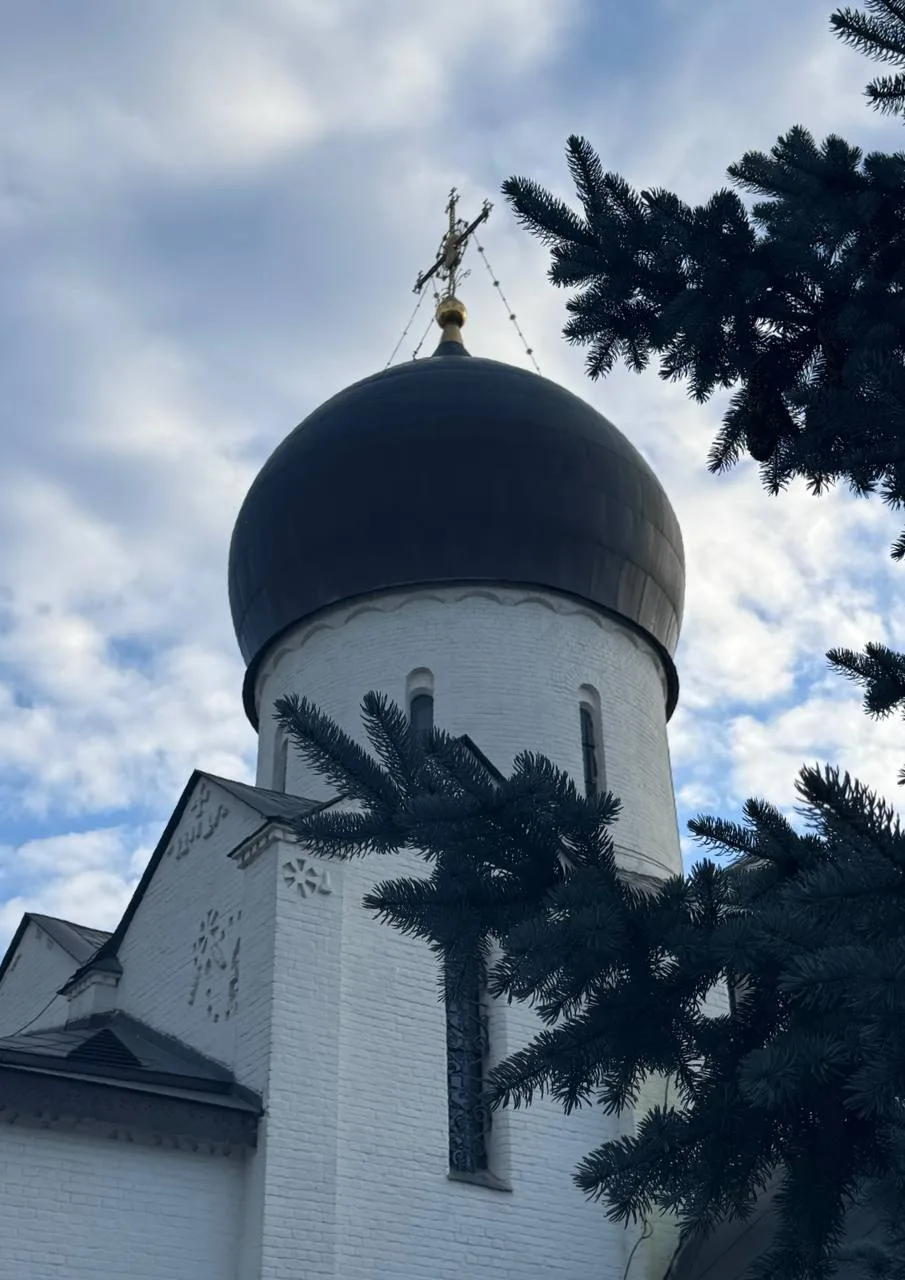 Жизнь свою предоставьте воле Божией. Верьте: Господу лучше нашего знать, когда Ему приз...
