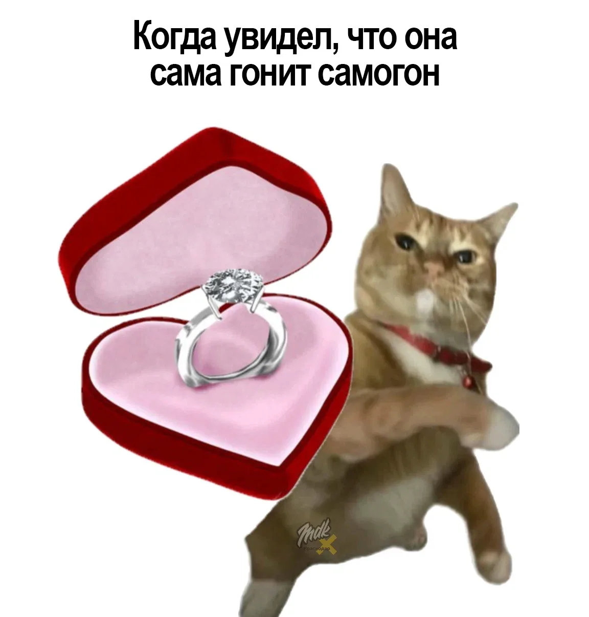 Это любовь до гроба