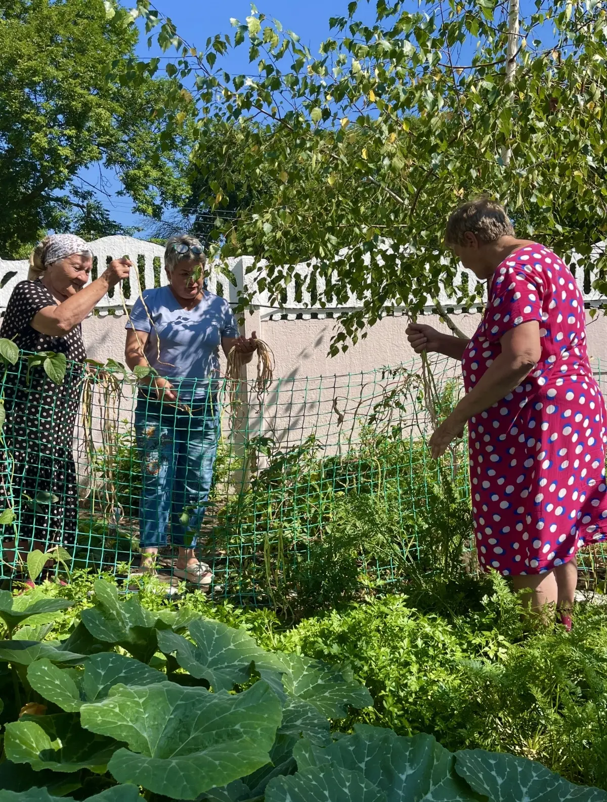 Участницы проекта «Витаминка» 🌱 Лабинского дома социального обслуживания сегодня прове...