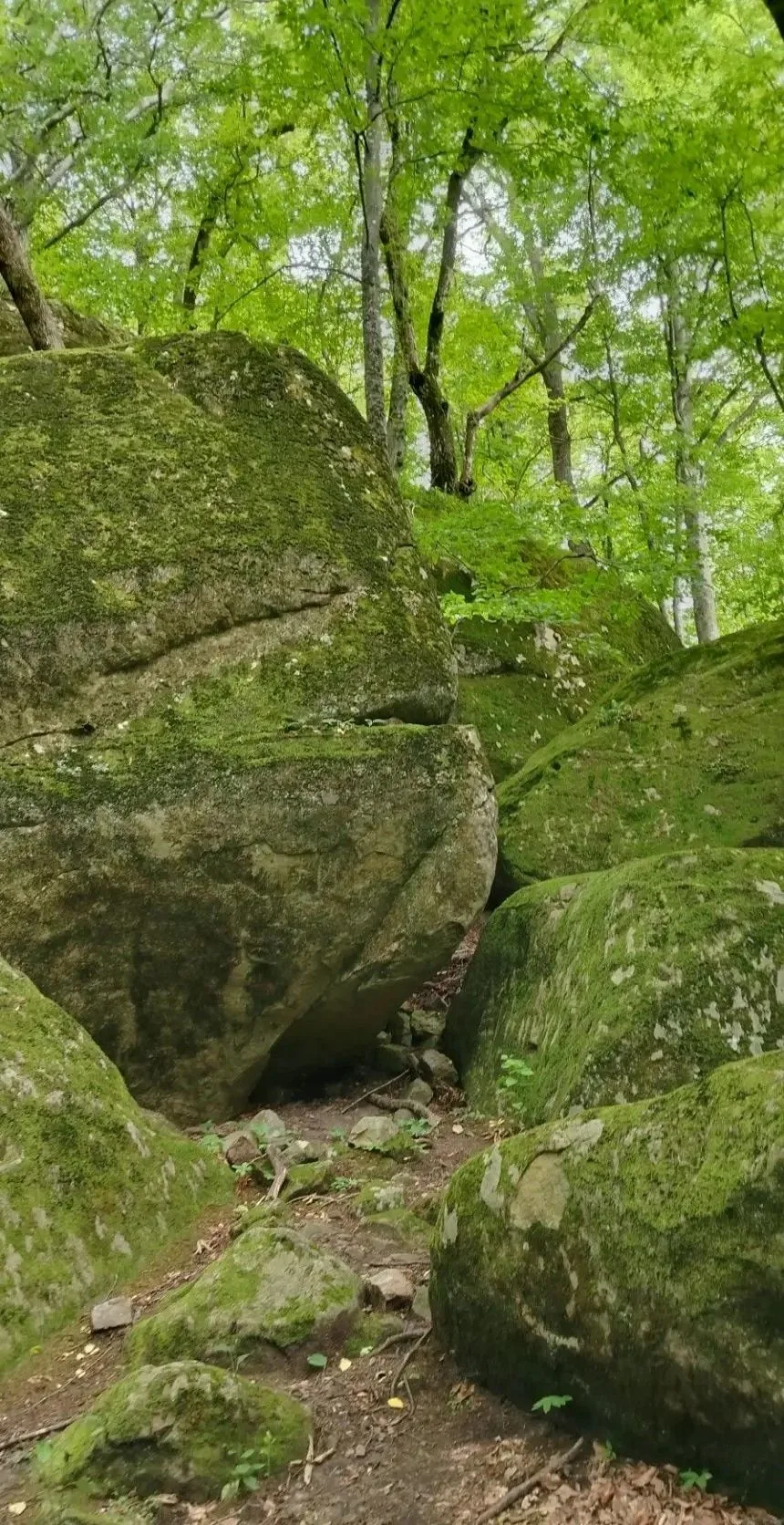 🏕️ ПОХОД – ЭТО МАЛЕНЬКАЯ ЖИЗНЬ!
Наши ребята побывали на настоящей туристической стоянке в живописно