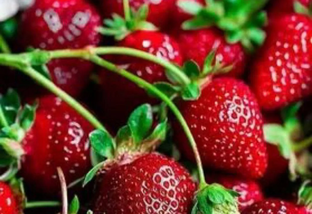 Уход за клубникой круглый год 🍓