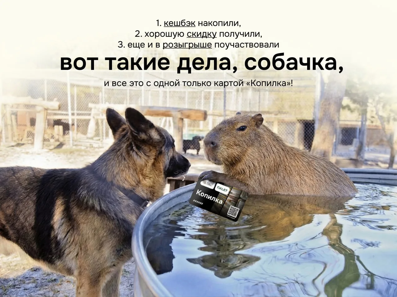 От покупкой с «Копилкой» одни плюсы 🔥