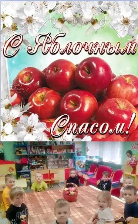 Старшая - подготовительная группа «Непоседы»