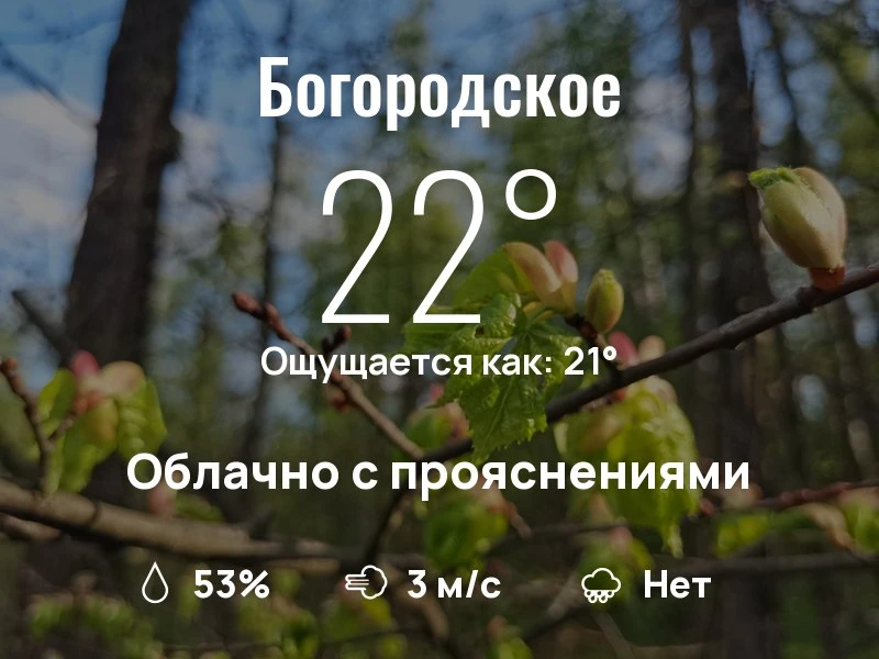 Что с погодой в Богородском?