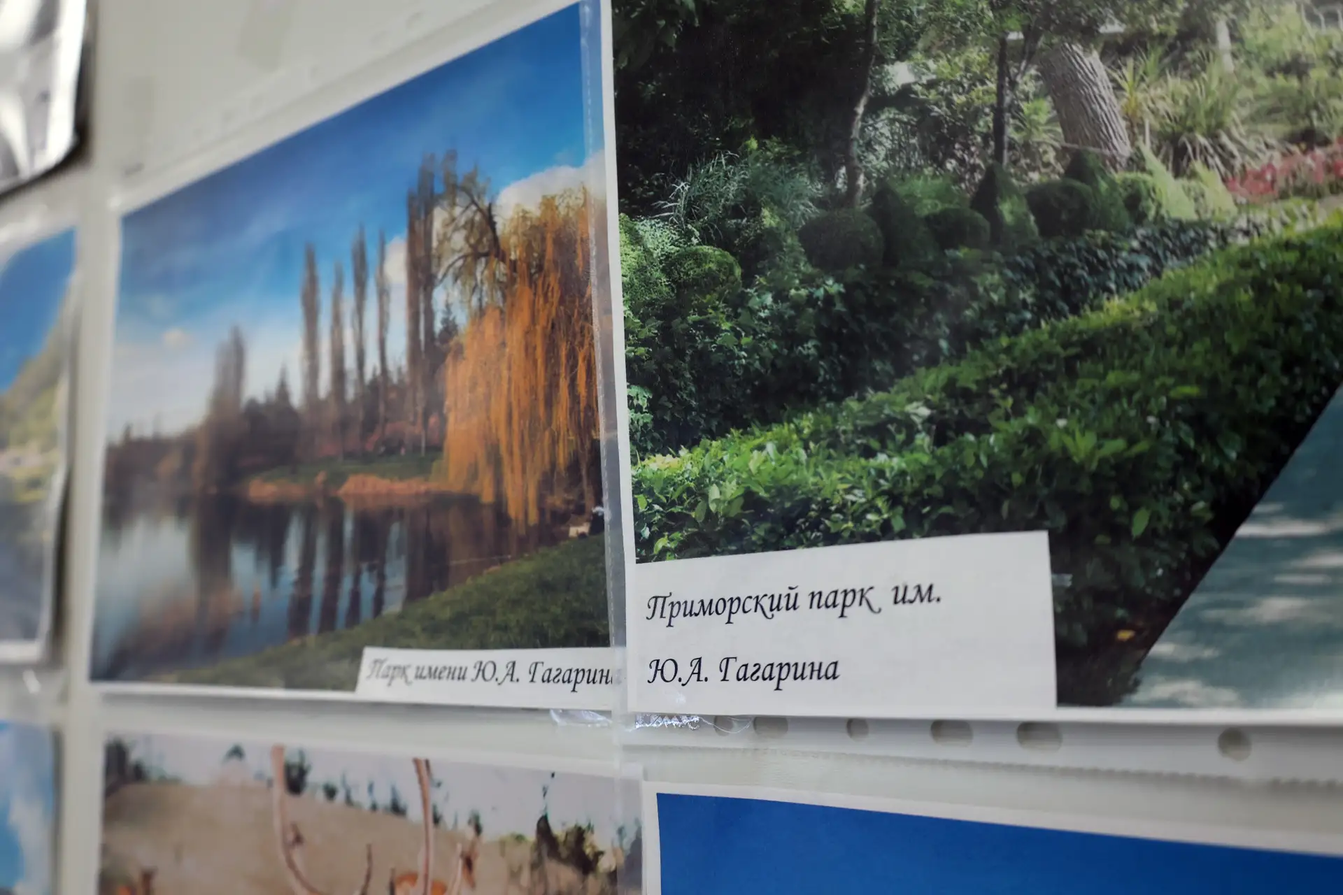 18 марта мы отмечаем важную дату — День воссоединения Крыма с Российской Федерацией.  🇷🇺 «18 марта 2