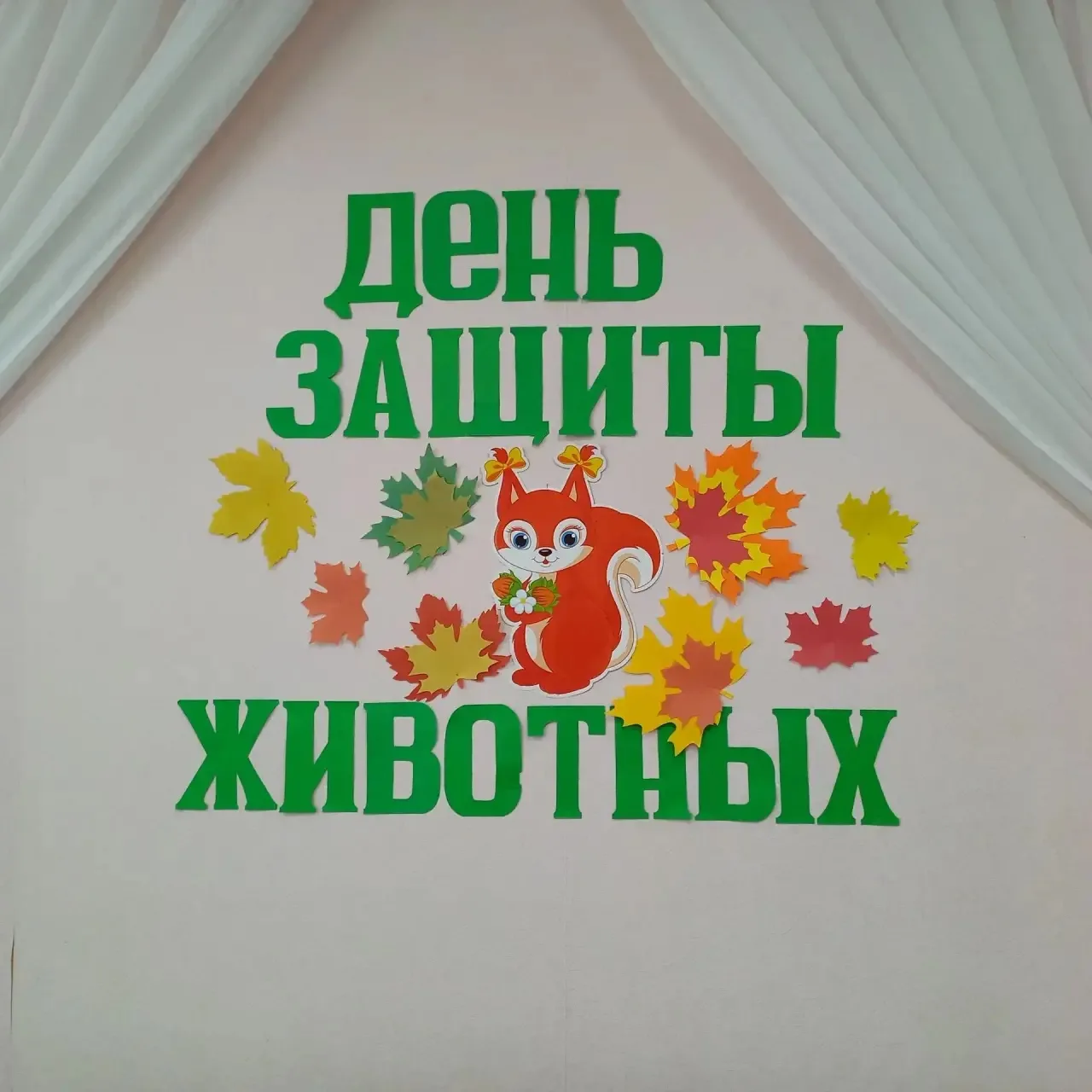 🐾 День защиты животных в старшей группе! 🐾