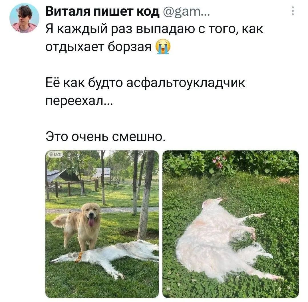Я теперь не перестану это видеть 😂
