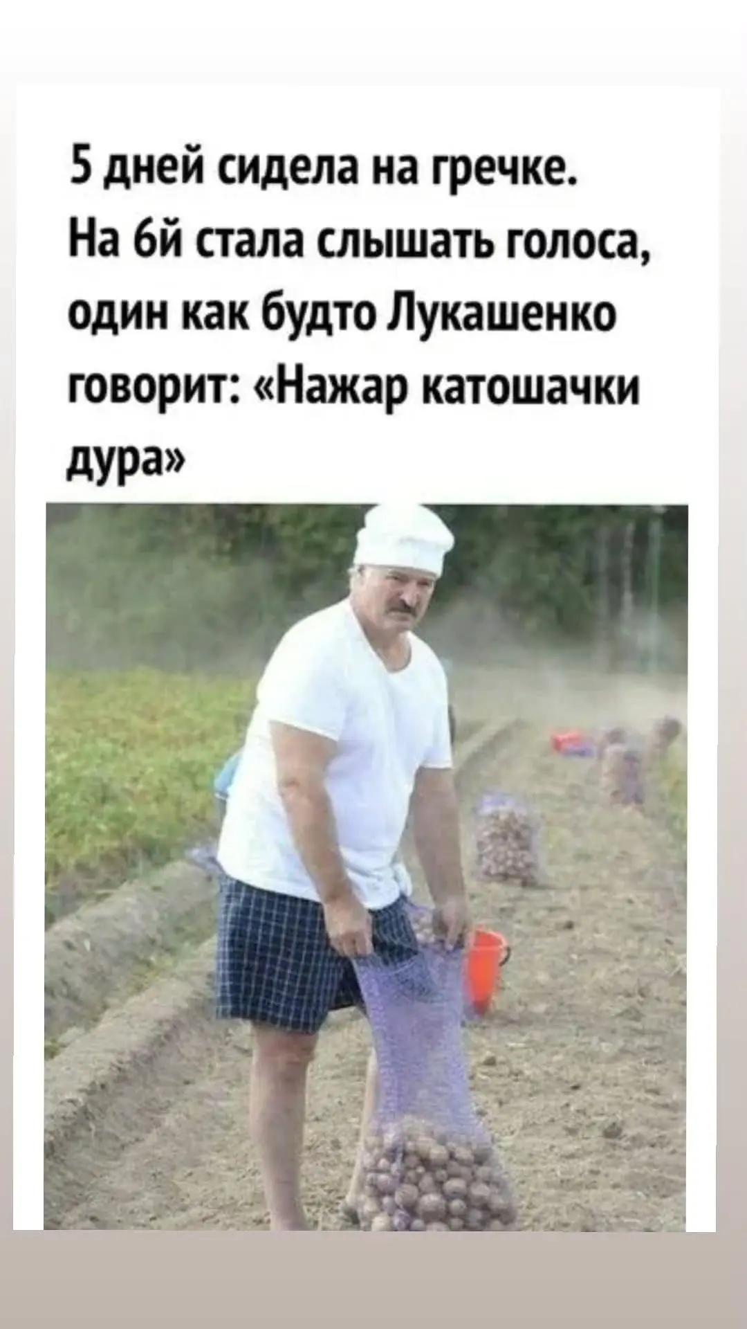 Изображение 7 к публикации «Olechkin_durdom»