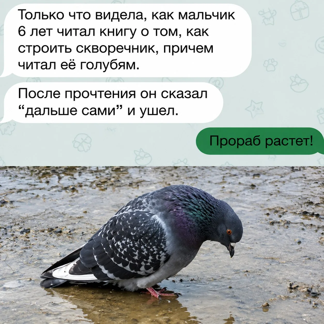 👑 Королева сарказма