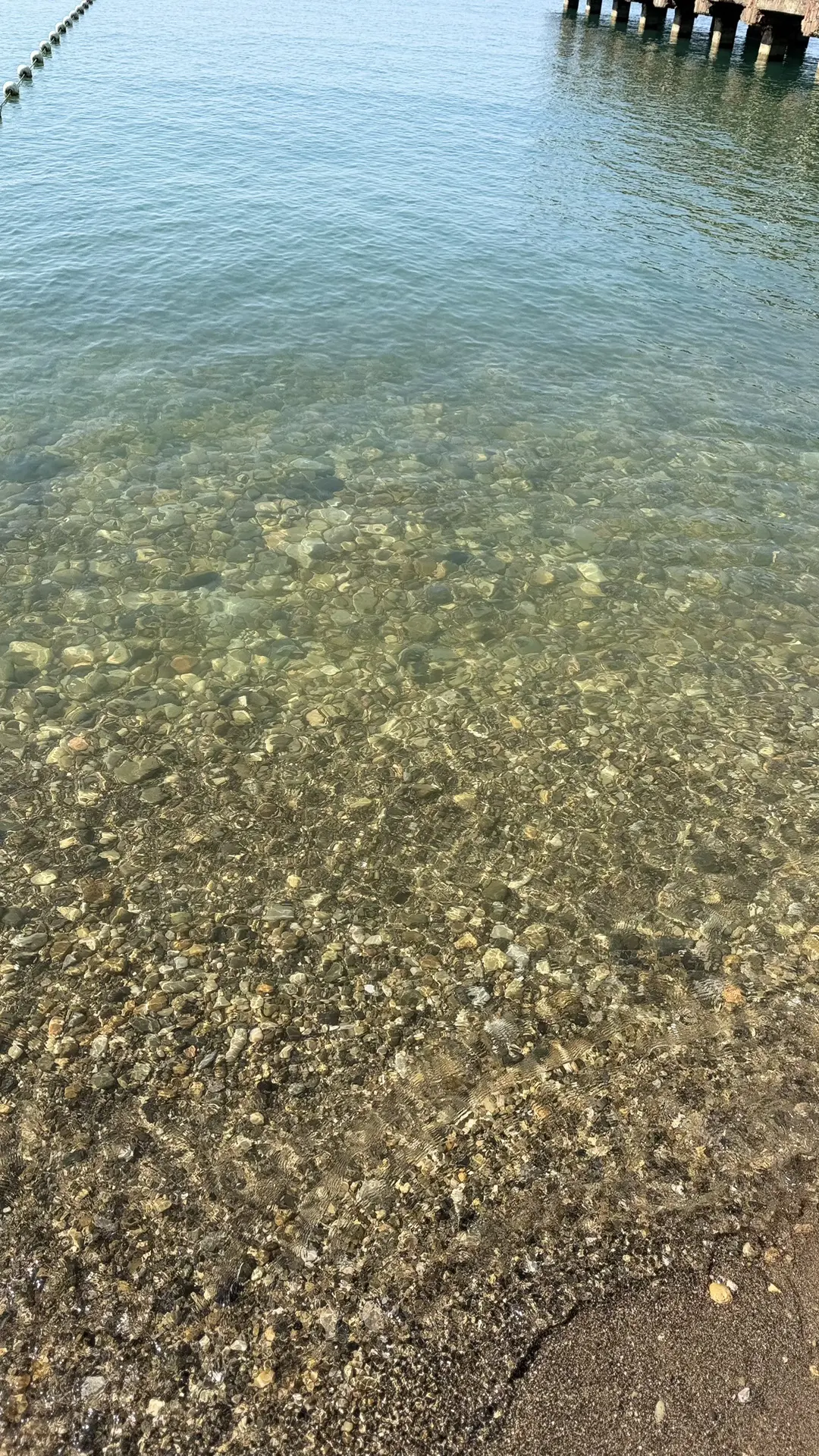 Утреннее море 🌊
