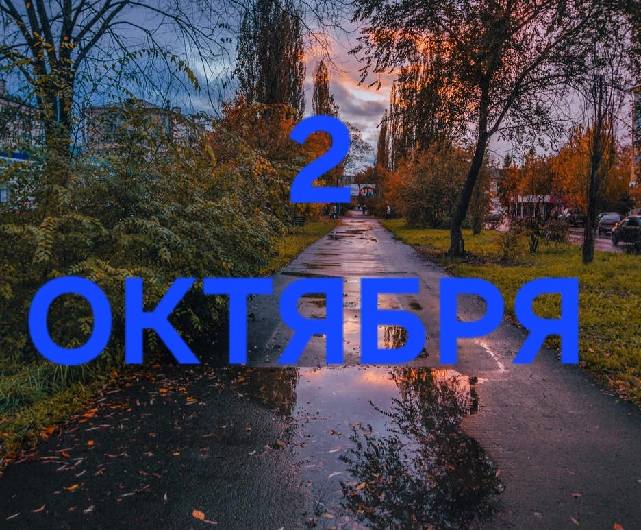 2 Октября: День порядка, дисциплины, собранности и сюрпризов 😎🎁🛍