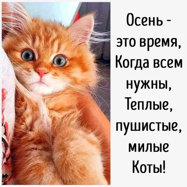 Улыбаемся, хорошим настроением заряжаемся! 😊