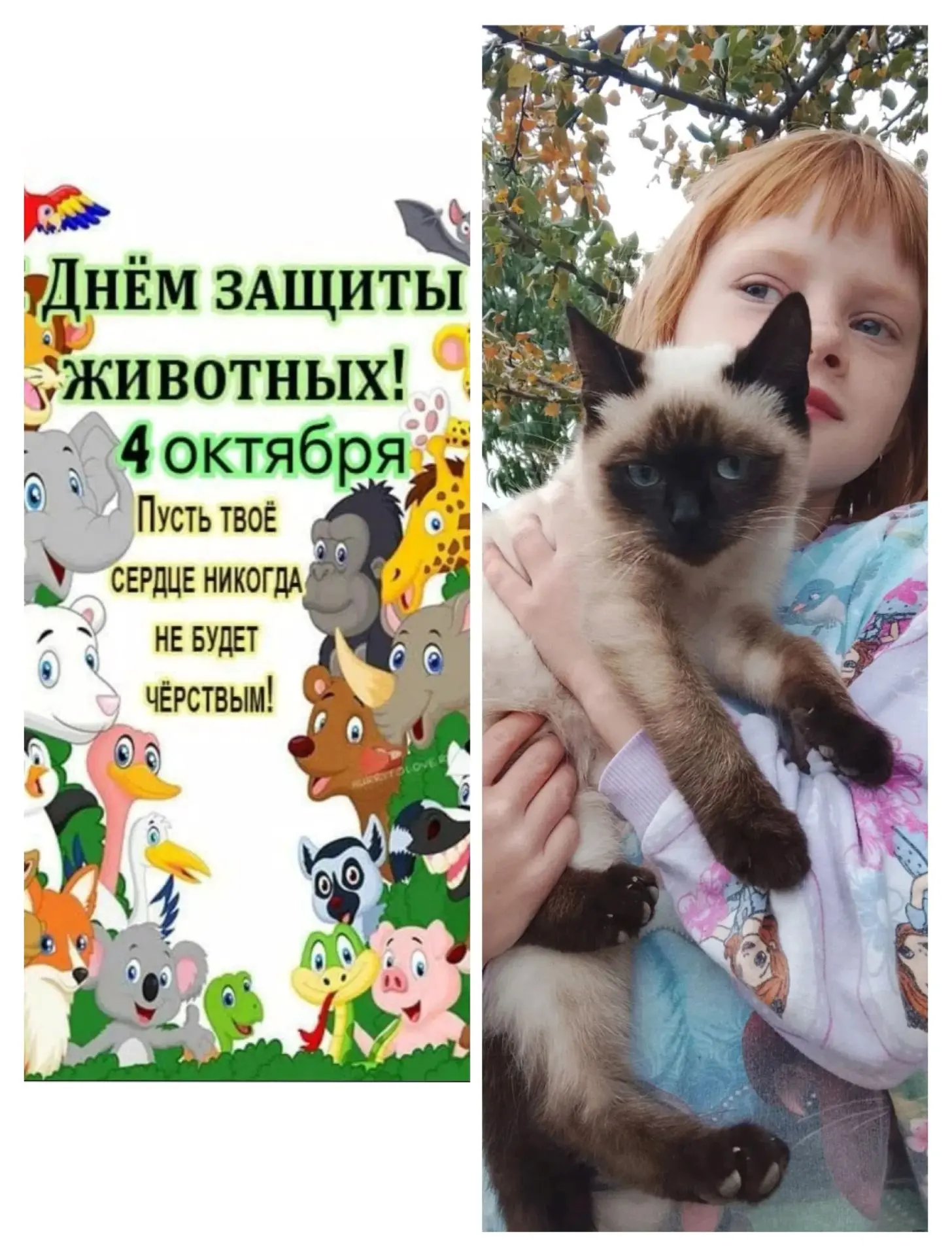 4 октября