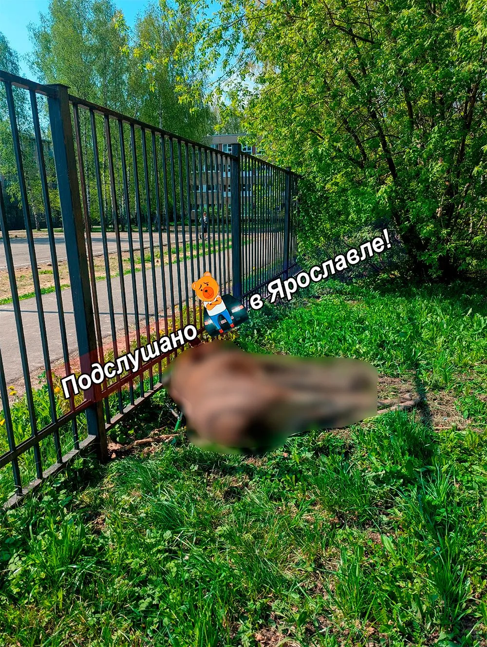У 2-й гимназии рядом с домом 89 по Ленинградскому проспекту умер лось. - сообщает подписчик.  Операт