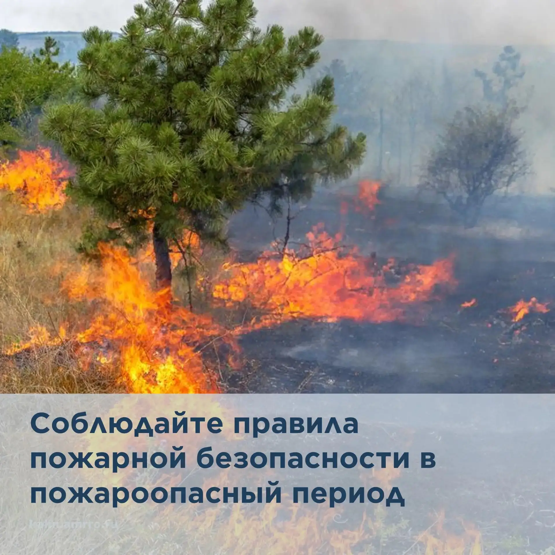 🔥Уважаемые жители! Напоминаем Вам, что в Ростовской области продолжает действовать осо...