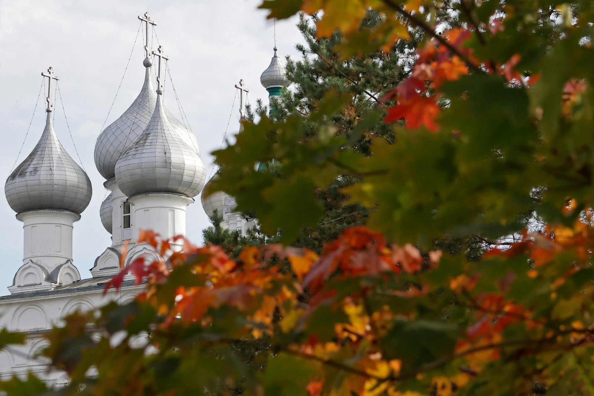 Вологодская область заняла второе место в России по реализации нацпроектов