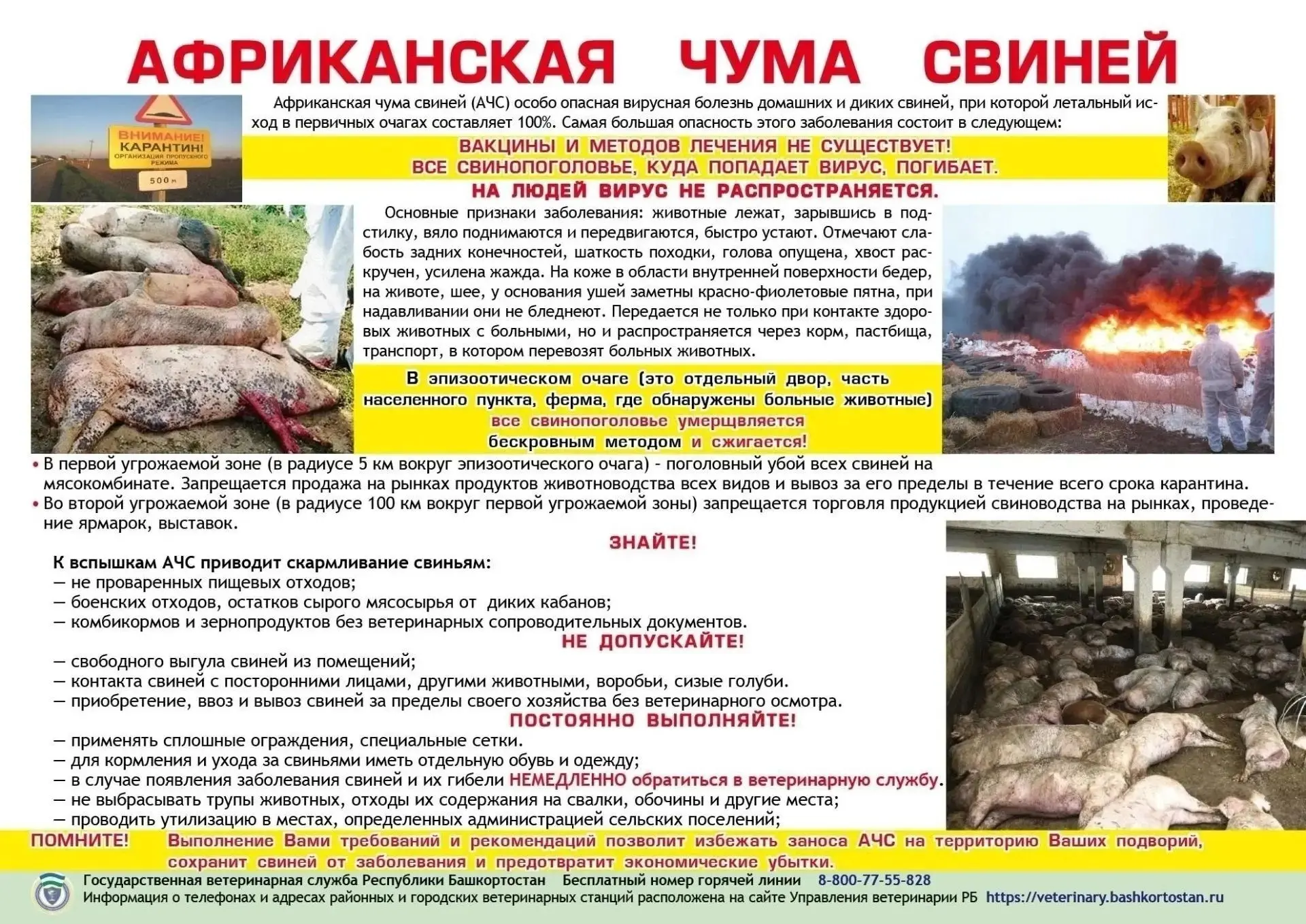 ⚠️ ЭТО НЕ ШУТКИ: ВАШЕ СТАДО МОЖЕТ УЙТИ В НОЛЬ ЗА ОДНИ СУТКИ ⚠️