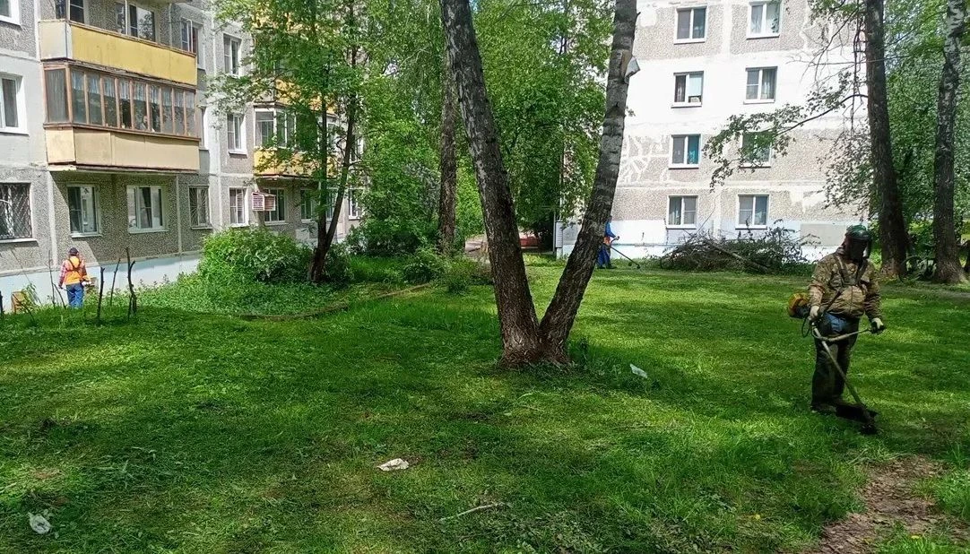 В Коломне начался сезон покоса травы. Для Департамента городского хозяйства в тёплое вр...