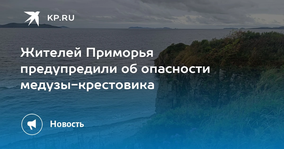 🪼 Жителей Приморья предупредили об опасности медузы-крестовика