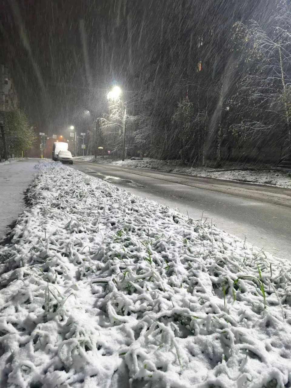 ❄️ Зима решила не ждать: Удмуртию уже присыпало снегом, а до этого он прошёл от Кавказа...