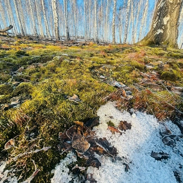 Присылайте Ваши фото в "Предложить пост"