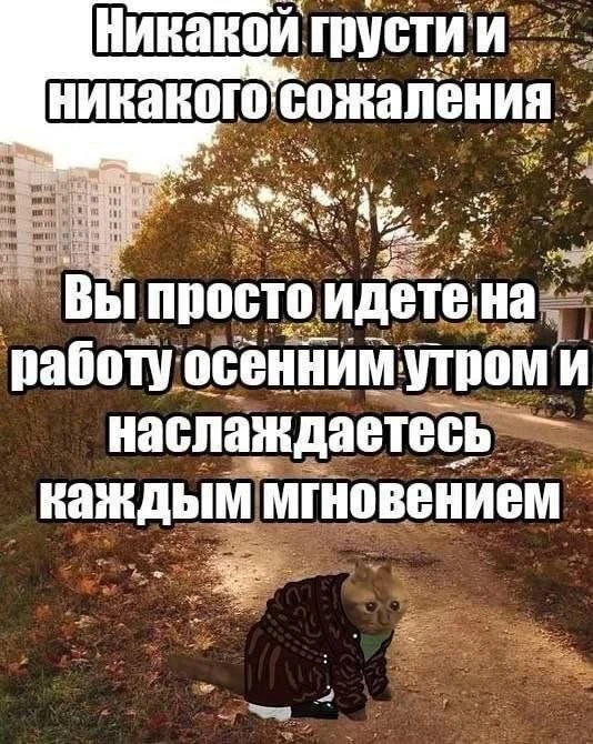 🤗 Жизнь прекрасна!