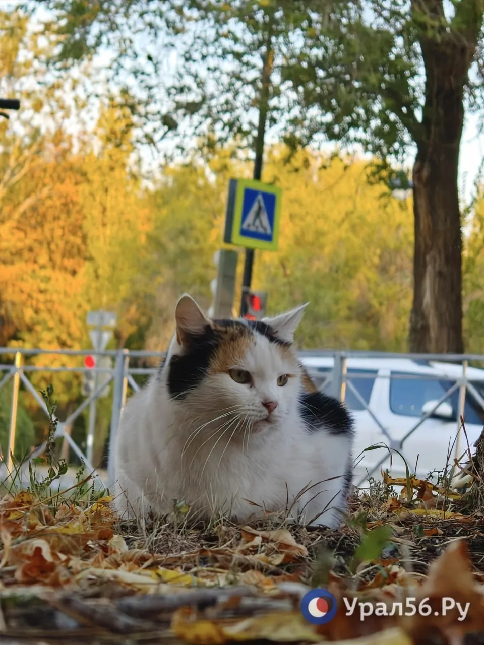 Оренбург в первый день октября 😍
