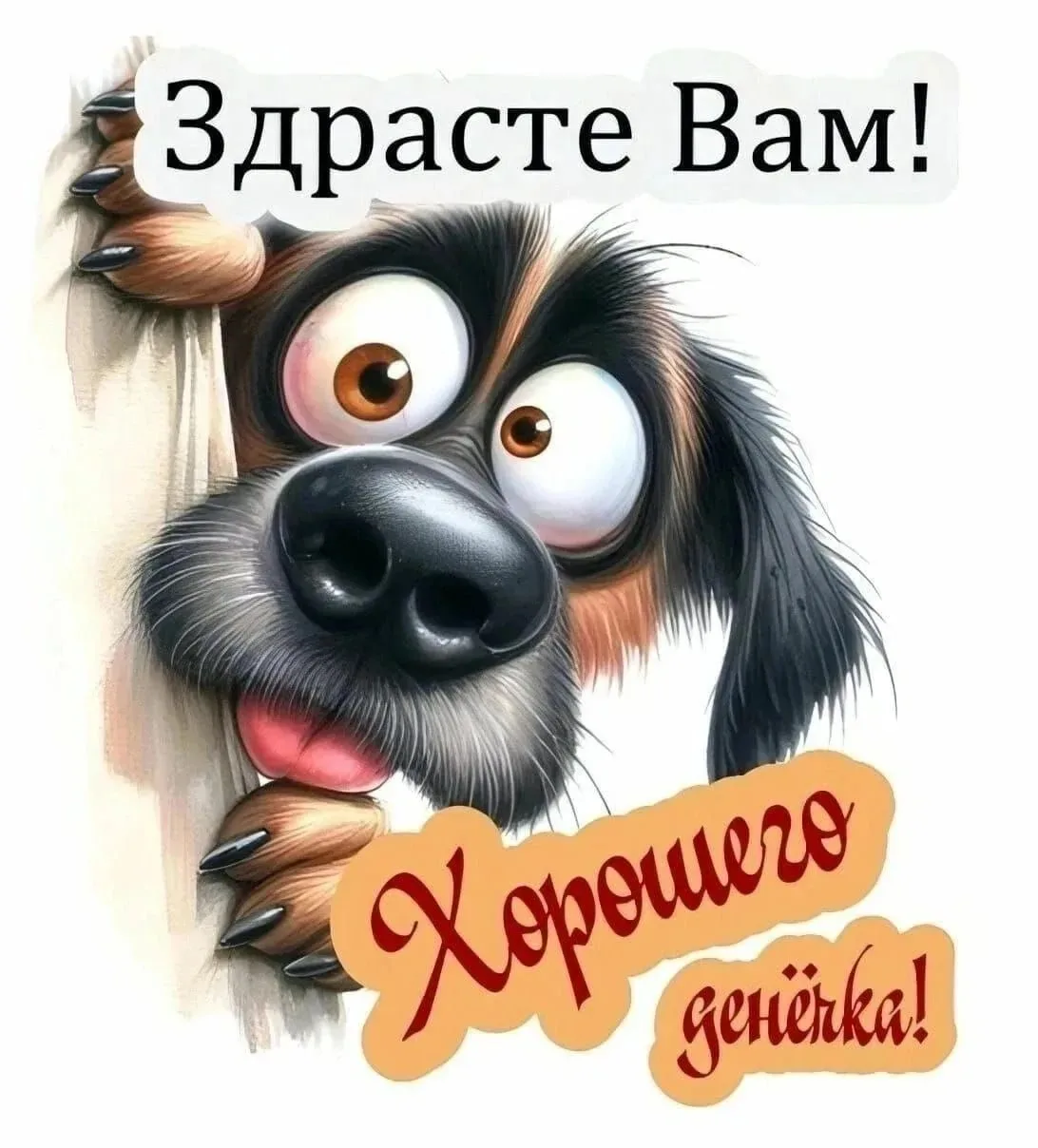 Ну вот реально, уже не первый раз приветствуем всех в нашей группе в новом мессенджере 🙃