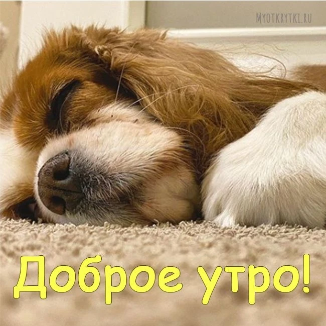 Красивые открытки❤️