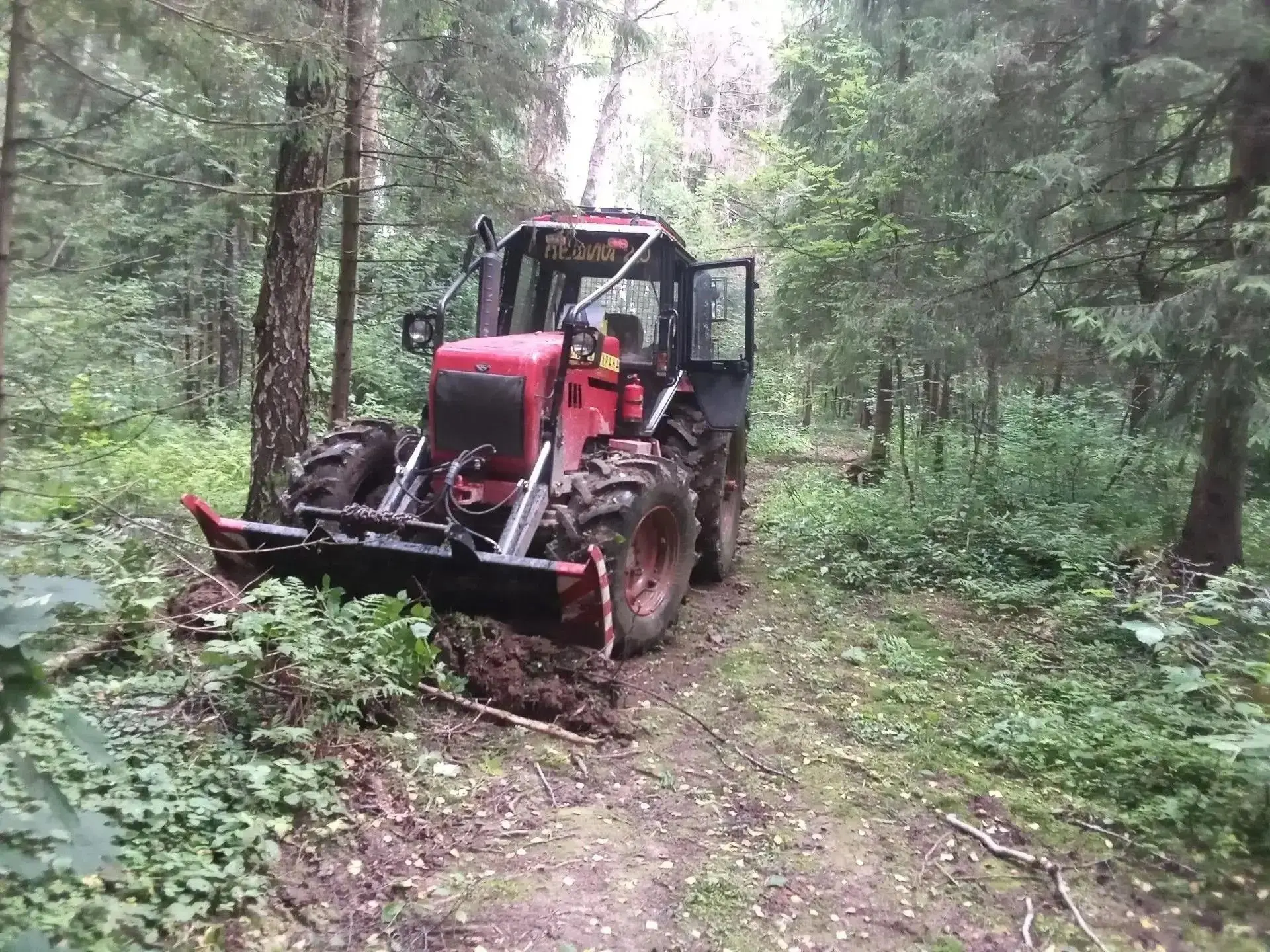 ⚡️В Дмитровском лесничестве досрочно выполнили государственное задание по противопожарн...