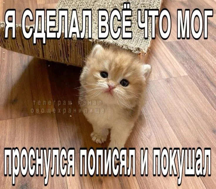 РЫБЫ, 22 июня. Ты умничка сегодня

🛑Твои личные предсказания судьбы в нашем боте - max/GOROSKOP_BOT