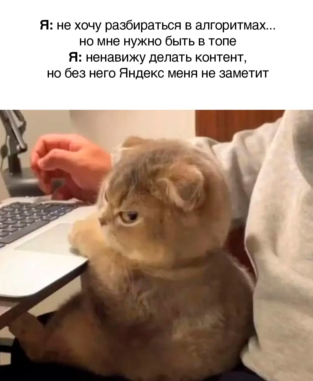 Доверьте это нам 😎