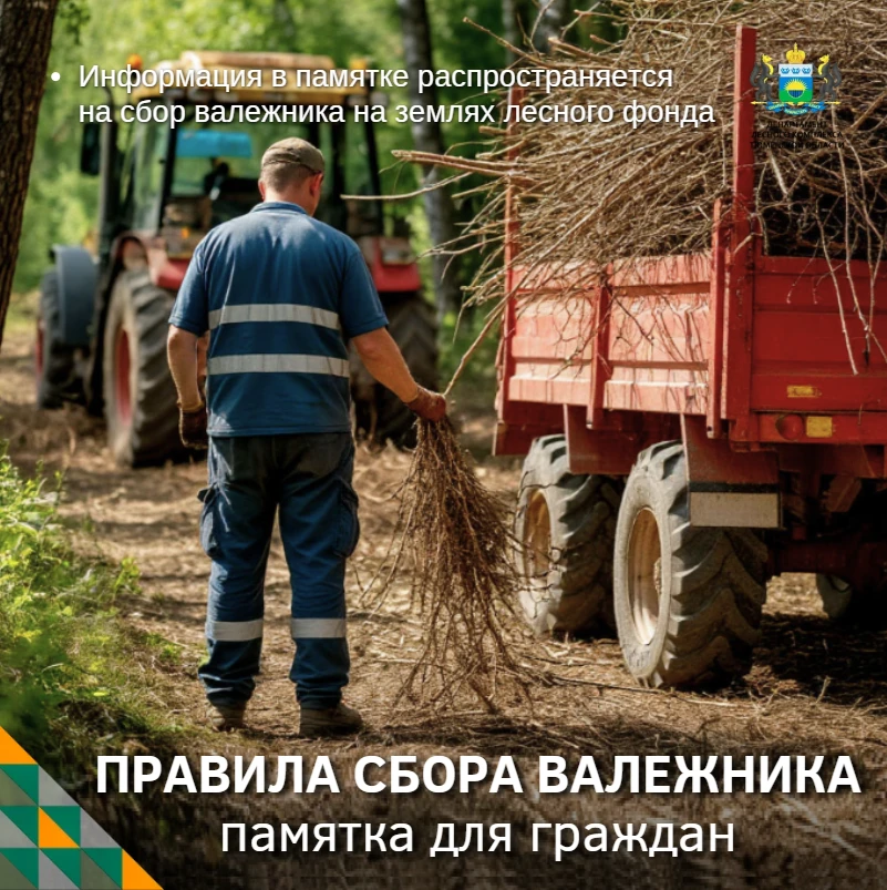 🌲 Заготовка валежника: отвечаем на самые частые вопросы

Неделю назад мы спросили вас, что вызывает