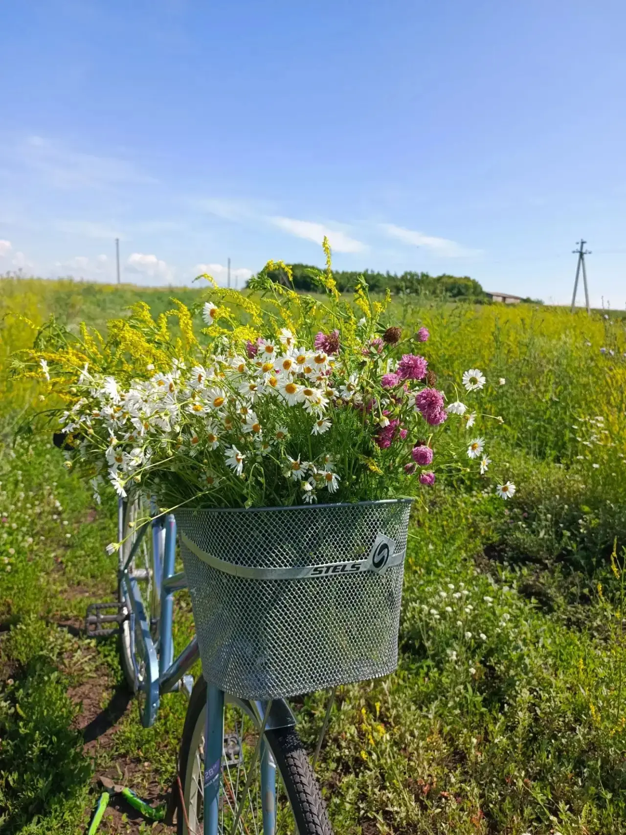 Доброе утро!☀️ 
Есть места, где время замедляет ход. Сегодня остановила велосипед в родных лугах сел