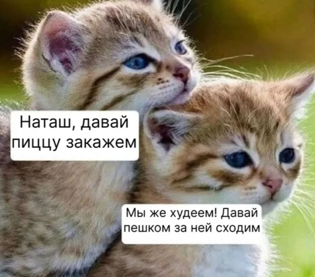 И совесть чиста! 🤩