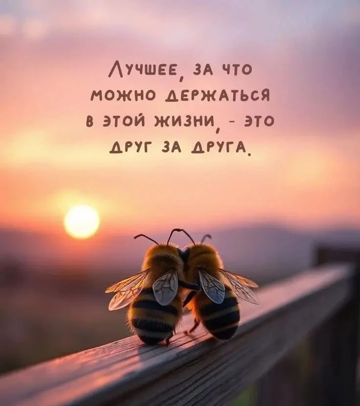 💐ЖИВАЯ СКАЗКА 💐