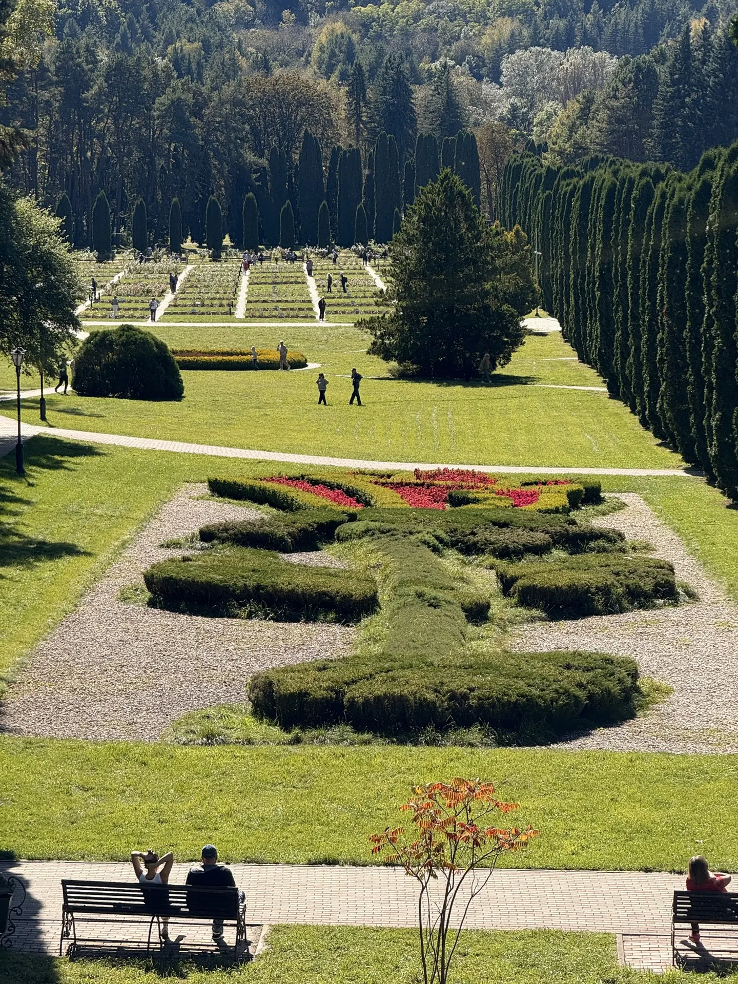Фото долины роз🌹