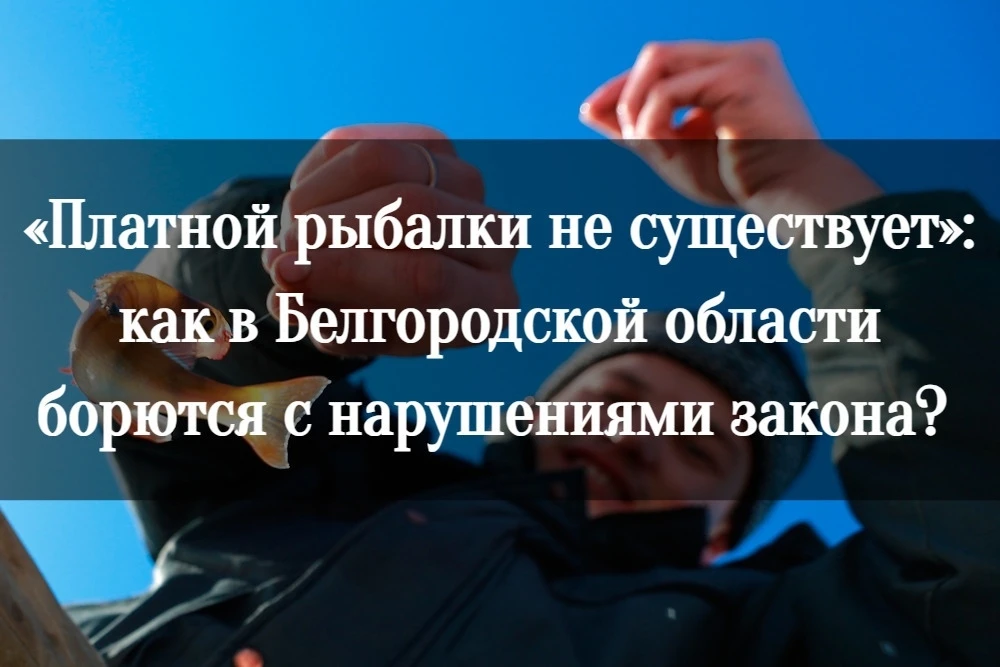 «Платной рыбалки не существует»: как в Белгородской области борются с нарушениями закона?