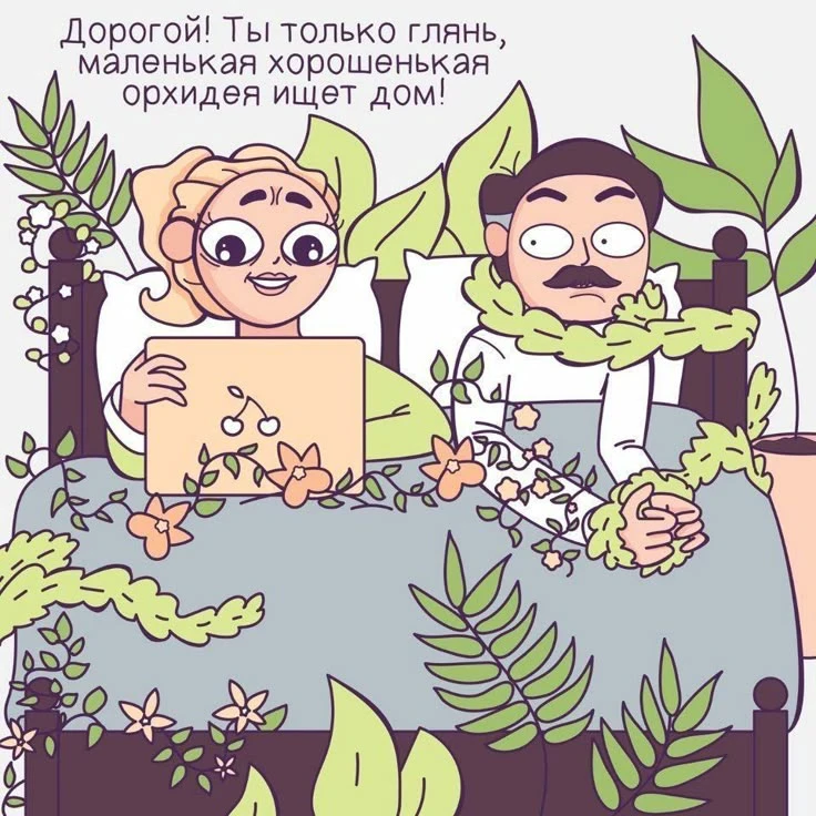 Цветов много не бывает 😅